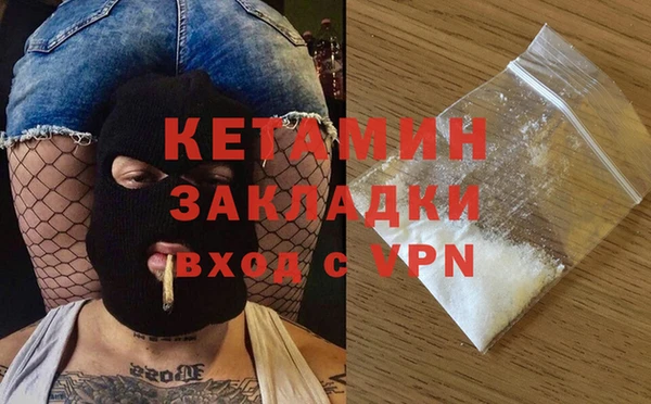 крисы Алексин