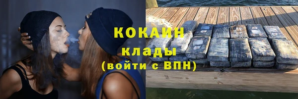 гидра Абаза